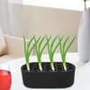 Seedling Starter Tray - Seedling Growing Trays | Growing Regenerator