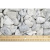 Fantasia Materials: 5 lbs Tumbled White Howlite (Magnesite) Stones from