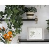JOSON Rotating Photo Frame, Antique Rotating DIY Desktop Floating Photo