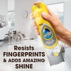 Pledge Pledge Stainless Steel Cleaner Spray, Lemon Zest, 1 Aerosol