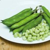 Mr Fothergill's RHS Broad Bean Statissa