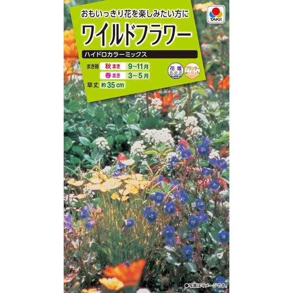 Takii Seedling Wildflower Hydro Color Mix
