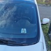 Funny Penguin Parking Disc Funny Bird Design Humorous Fun in