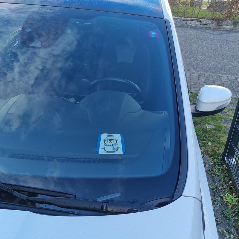 Funny Penguin Parking Disc Funny Bird Design Humorous Fun in
