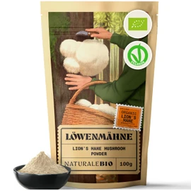 NaturaleBio Lions Mane Powder 100 g | 100% Organic, Vegan, Gluten Free | Promotes Cognitive Function, Gut Health & Immune System | Rich in Bioactive Substances | Easy to Take