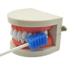 Oral Care Swabs Disposable- Blue 100 Counts