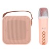 Mini Karaoke Machine Set Portable Bluetooth Speaker with 1 Wireless