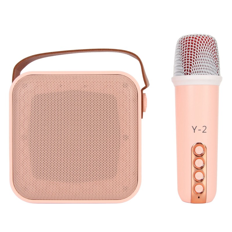 Mini Karaoke Machine Set Portable Bluetooth Speaker with 1 Wireless