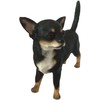 The Leonardo Collection Chihuahua Dog Ornament, Black, Tan and White,