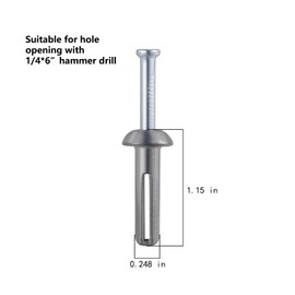 Wensilon 1/4x1 Hammer Drive Nail in Anchor (100pcs per Box) Cement hammering Anchors