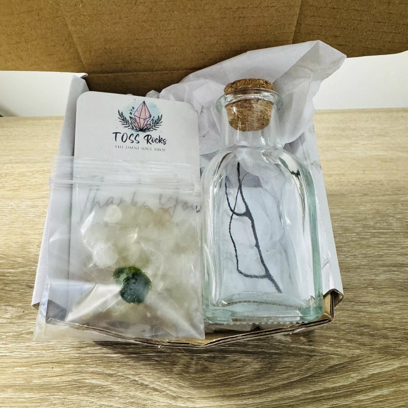 Toss Rocks Marimo Moss Ball Terrarium Kit