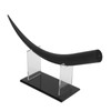 Large Eyelash Model Display Training Demonstration Tools for Teaching False