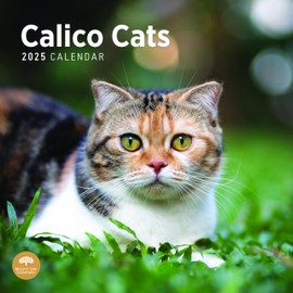 2025 Calico Cats Monthly Wall Calendar by Bright Day, 12 x 12 Inch Cute Cat Breed Gift