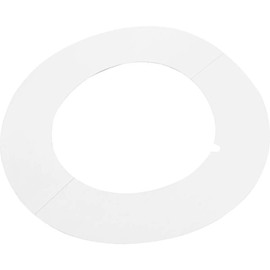 Pentair 273207 2-Inch De Label Replacement for Pentair Pool and Spa Filter