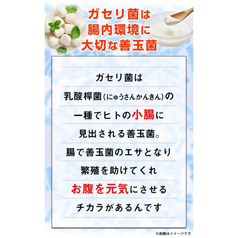ガセリ菌 プレミアム 360粒 約12ヶ月分 乳酸菌サプリメント 善玉菌 ラクトバチルス 有胞子性乳酸菌 ガゼリ菌 カゼリ菌