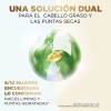 Shampoo Equilibrio Pro-v Miracles Raiz Puntas 300ml Pantene