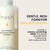 nesh [nesh]Soy Biome Scalp Balancing Shampoo 480ml