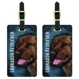 Graphics & More Chocolate Labrador Retriever Blue-Dog Pet Luggage Tags Suitcase Id, White