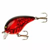 BOMBER                    Square A    B04                   Apple Red Crawdad