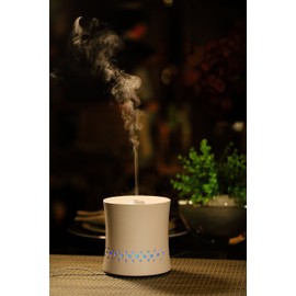 SPT Ultrasonic Aroma Diffuser/Humidifier with Ceramic Housing, Multi