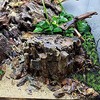 8pcs Aquarium Sink Natural Driftwood Able Driftwood Aquarium Decoration (8-10cm)