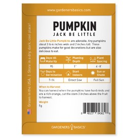 Gardeners Basics Mini Pumpkin Seeds for Planting (Jack Be Little) Small Heirloom, Non-GMO Vegetable Variety, 5 Grams Seeds Great for Summer Pumpkin Gardens