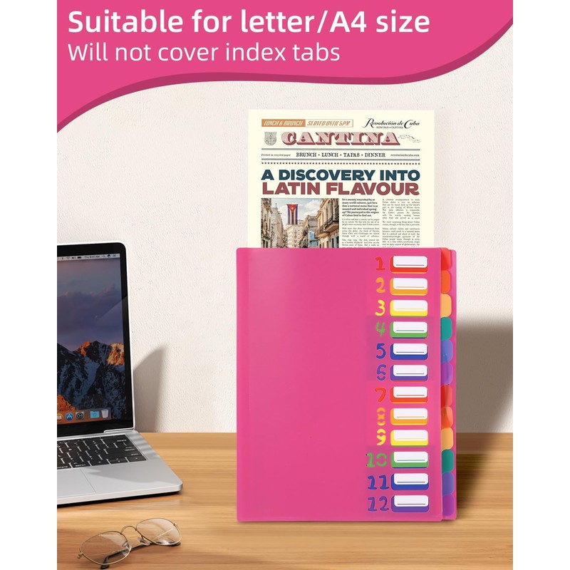 Document Folder A4, Portable Expanding Folder with 12 Compartments, with