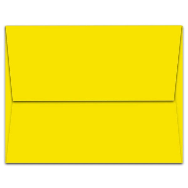 Note Card Cafe All Occasion Greeting Card with Yellow Envelopes | 24 Pack| Blank Inside, Glossy Finish | Donkey and Mules Design | Bulk Set for Grandson, Corporate, Friend