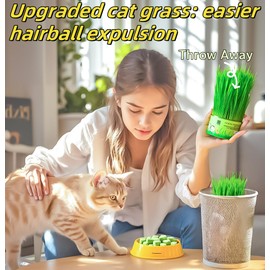 GREMBEB 250g/8.82oz Cat Toy Cats Grass Treats, Fish Oil Kitten Grass Catnip Stick for Hairball Removal Teeth Cleaning Cats Edible Freeze Dried Kitty Lickable Chew Dental Snack for Indoor Kitty Food