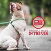 Harness Lead No Pull Dog Harness and Leash Set, Anti