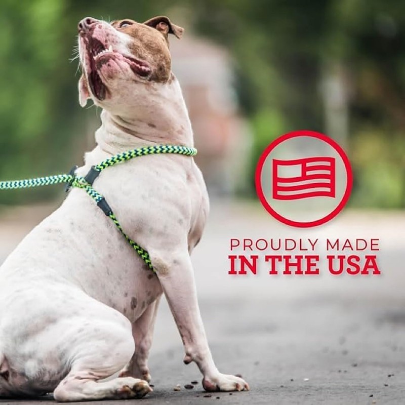 Harness Lead No Pull Dog Harness and Leash Set, Anti