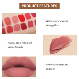 12 Colors Liquid Lip Gloss Set Velvet Matte Nude Long-Lasting Waterproof Non-Stick Cup Not Fade Shimmer Lip Gloss Red Lipstick Set Gift For Women (Set B)