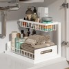 REALINN Under Sink Organizer, Pull Out Cabinet Organizer 2 Tier