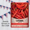 Cayenne Pepper Seeds for Planting Heirloom Non-GMO Cayenne Peppers Plant