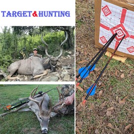 QunYing Archery Carbon Arrow 28 29 30 inch 300 340 350 400 Spine Practice Hunting Arrows for Compound Recurve Bow 12PCS-29 340 Spine