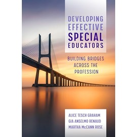 Developing Effective Special Educators: Building Bridges Across the Profession