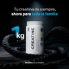B Life Creatina Monohidratada Micronizada en Polvo de Alta Pureza