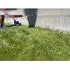 Wild Badger Power 20V Weed Wacker & Leaf Blower, Electric