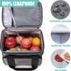 Tiblue Insulated Reusable Lunch Box for Office Work School Picnic