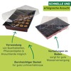 Windhager Room-Greenhouse Maxi Windowsill-Greenhouse Plant Breeding, With Source Tabs