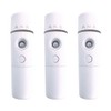 ANX Mobile Mist Facial Beauty Device Handy Mist Ultrasonic Nano