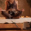 White Copal Aztec Incense Sticks from Mexico - (20 Sticks)