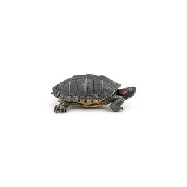 PAPO - Realistic Florida Turtle Figure - Ages 3+ - Wild Life Collection - Educational Play Reptiles - Gift Idea Toy for Girls and Boys