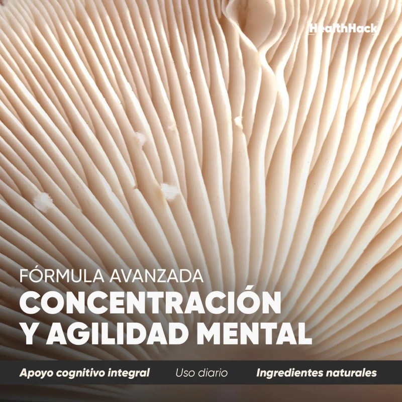 Homodeus Platinum Nootrópico Mejorado Suplemento Natural Hongo Melena León Bacopa
