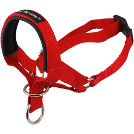 Dog Head Collar Halter Red 6 Sizes (XXL: 14-16 Snout) by Dogs My Love