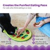 Catstages Buggin' Out Puzzle & Play, Interactive Treat Puzzle Cat