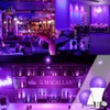 FAGUANGAO LED Black Light Bulb,7W(60Watt Equivalent) A19 UV Blacklight Bulb,120V,UVA