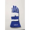 Asahi Rise FT3DGL16 FET Sports Gloves Racing Gloves 3D BU/WH
