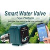 Frankever DN20 Smart Water Valve 3/4 inch WIFI Remote Control