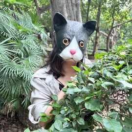 Dinwenddey Cat Mask, Half Face Cat Masks, Funny Animal Realistic Fancy Dress Head Mask for Carnival Costume Party Props